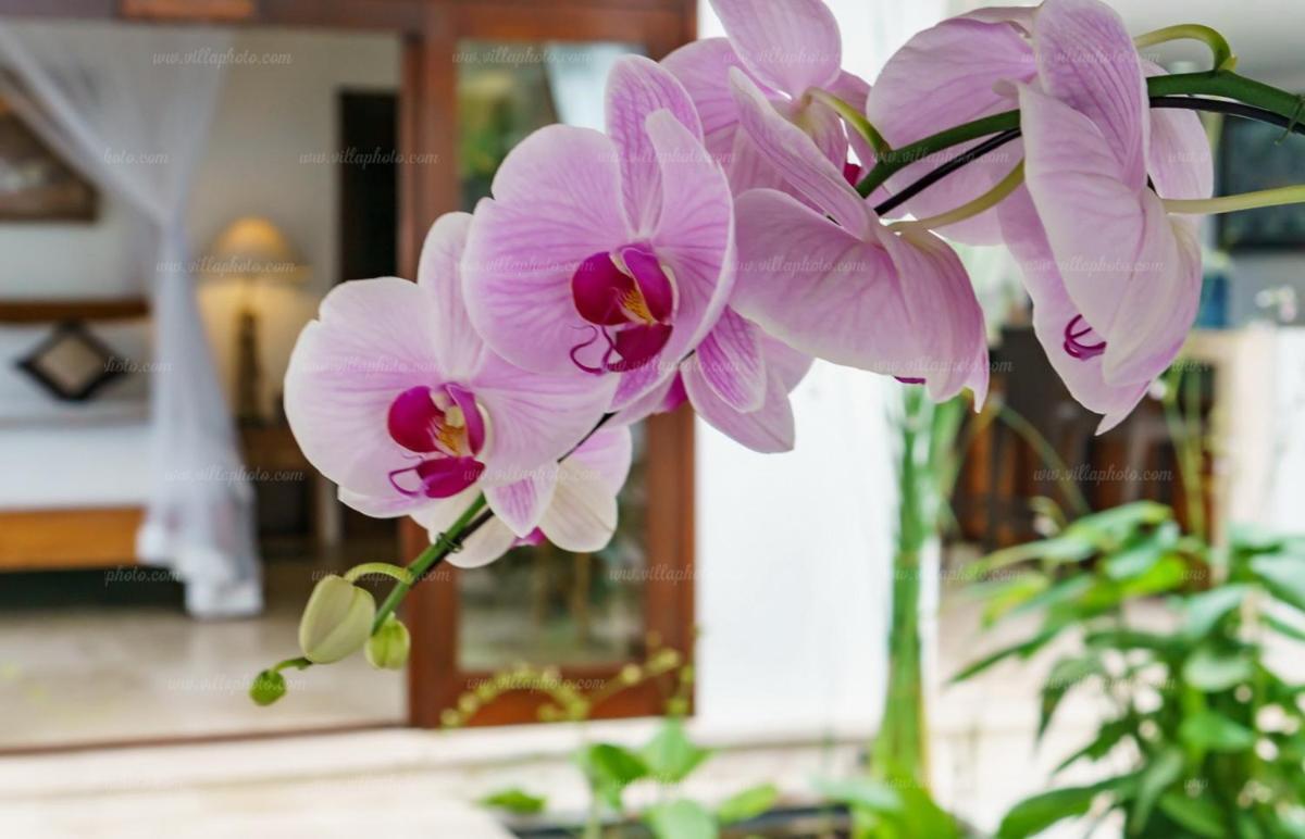 Villa Gita Candidasa Buitenkant foto